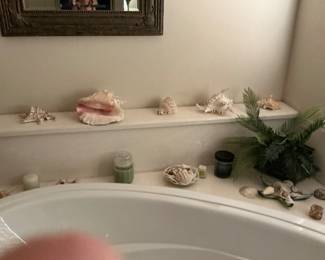 Many shells priced from 50 cents to $10
