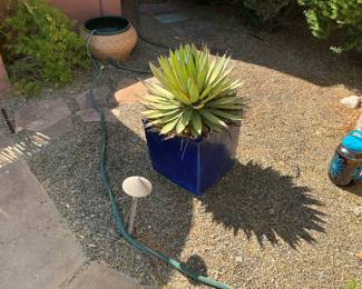 Various potted plants priced as marked