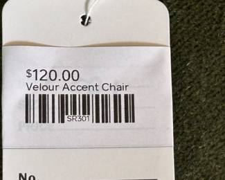 Velour Accent Chair 