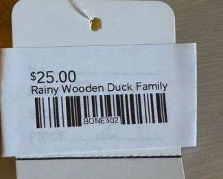 Rainy Wooden Duck Family 
