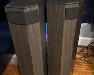 Bose 501 Series V Speaker Set