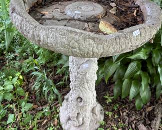 Bird Bath
