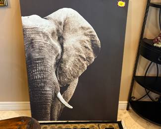 Great Elephant Picture