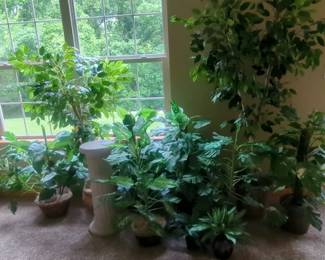 Faux Plants And Display Column