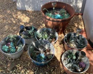 Plastic Plants And Pots