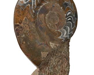 1018
20th/21st century
An ammonite fossil specimen
The cephalopod fossil, polished in relief within a chisel-prepared matrix
17.75" H x 12.75" W x 5.5" D
Estimate: $200 - $300