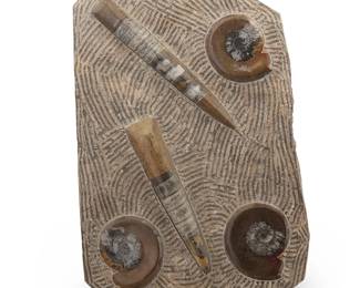 1190
20th/21st century
An orthoceras and ammonite fossil specimen
Comprising two orthoceras and three ammonite cephalopod fossils, each polished in relief within a chisel-prepared matrix, displayed on a plastic stand
15" H x 9.75" W x 1.5" D
Estimate: $200 - $300