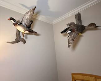 Taxidermy Ducks