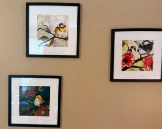 Framed prints of birds