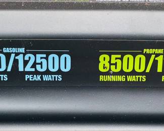 Duel fuel (gasoline or propane, battery start, unused) generator by Westinghouse (detail)...