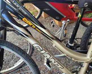 Cypress Giant Alluminum Alloy Bike