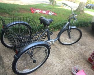 Schwinn 3-wheel 24" bike