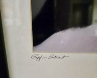 Puffin Portrait Photograph - Framed & Matted - Signed, but Signature is Illegible