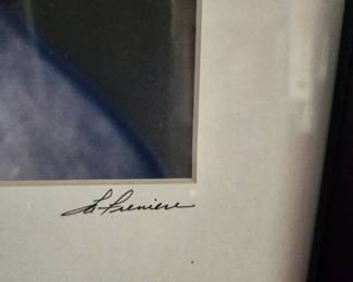 Puffin Portrait Photograph - Framed & Matted - Signed, but Signature is Illegible