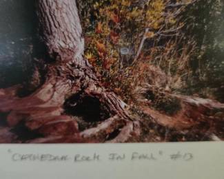 "Cathedral Rock in Fall #13" by Lou DeSerio (1951 - ) Southwestern US Photographer - Signed, Matted & Framed