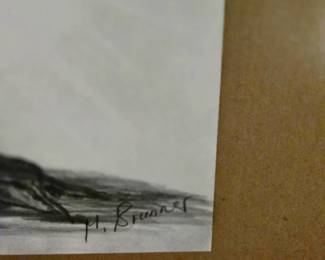 M. Brunner - Pencil of Human Tree