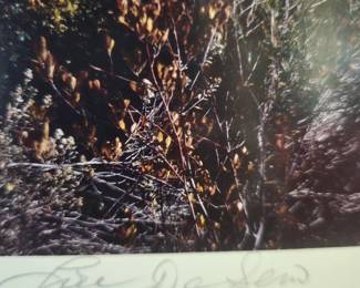 "Cathedral Rock in Fall #13" by Lou DeSerio (1951 - ) Southwestern US Photographer - Signed, Matted & Framed