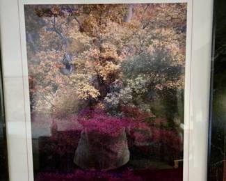Lou DeSerio (1951 - ) Southwestern US Photographer - "Fall in Indian Gardens" - Signed & Framed