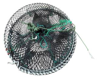 Bait Bucket and Fish Basket
