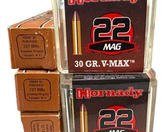 22 Mag Ammo and BBS