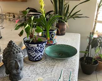 Buddha head, Talavera pot & plant, snake plant, Anton Studio Designs Peacock Bowl.