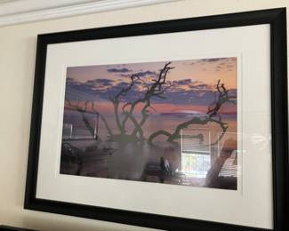 Sunrise tree framed photograph