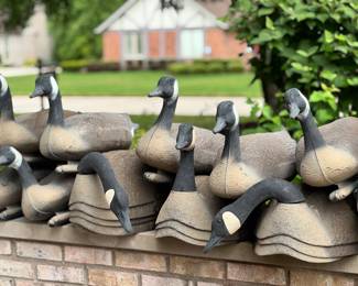 Goose Shell Decoys