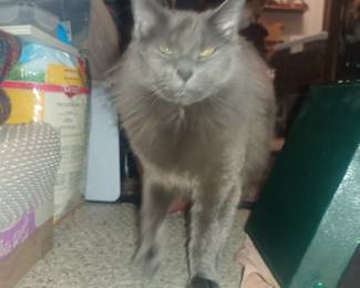 This is the face Esther makes when I told her you didn't come see us last week.