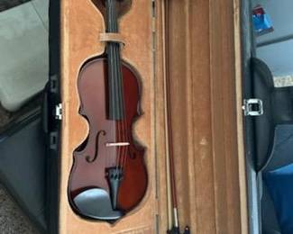 Violin