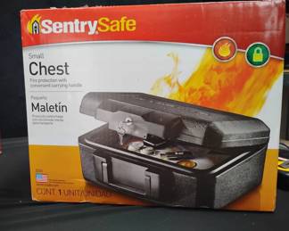 SH257Philips DVD Sentry Safe