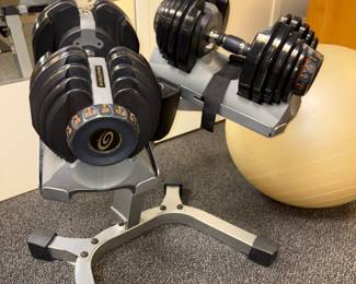 Nautilus Select-Tech Dumbbells w/Stand!