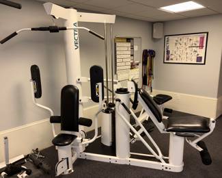 Vectra On-Line 1800 Workout Equipment!
