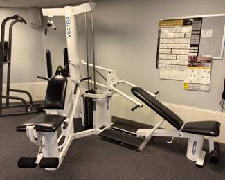 Vectra On-Line 1800 Workout Equipment!