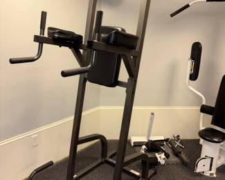 ParaBody Vertical Knee Raise/Dip Tower!