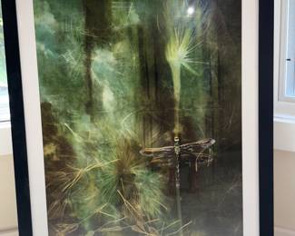 Nature Framed Photographs!