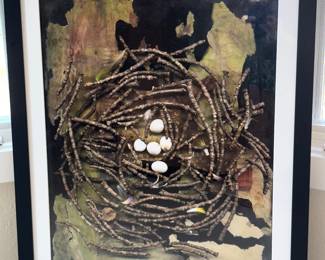 Nature Framed Photographs!