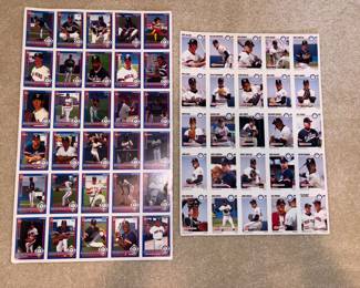 SkyBox 1982 Toledo Mud Hens Uncut Sheet Baseball Cards, SkyBox 1995 Toledo Mud Hens Uncut Sheet Baseball Cards!