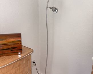 Contemporary 2 Light Wavy Floor Lamp!