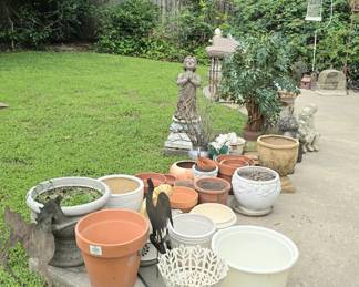 plants, garden decor