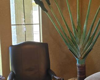 Chippendale Chair and Bird of Paradise Plant