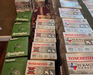20 Guage Ammo