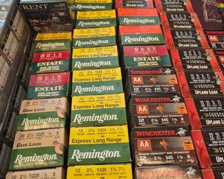 20 and 12 Guage Ammo
