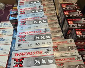 12 Guage Ammo