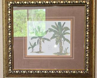 Palm Tree Picture
