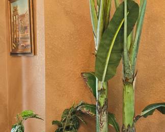 Artificial Bird of Paradise Plant