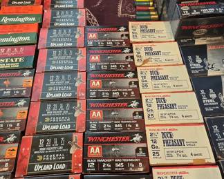 More 12 Guage Ammo