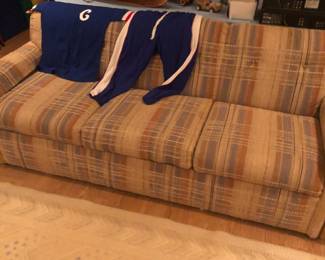 sleeper sofa
