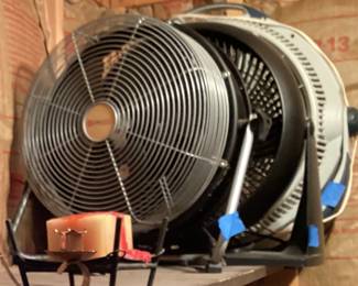 Fan Assorted