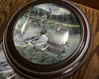 Collector Plate Edwi Knowles The PinTail