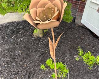 Garden rose